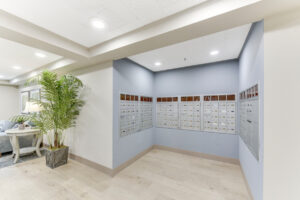 Interior lobby cluster mailbox units, blue walls, wood floors.